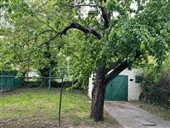 fotografia